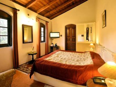 Super Deluxe room