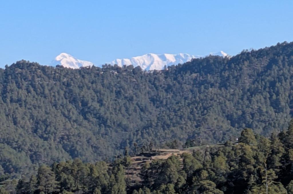 HIMALAYA VIEW FROM CHAMOMILE ESTATE