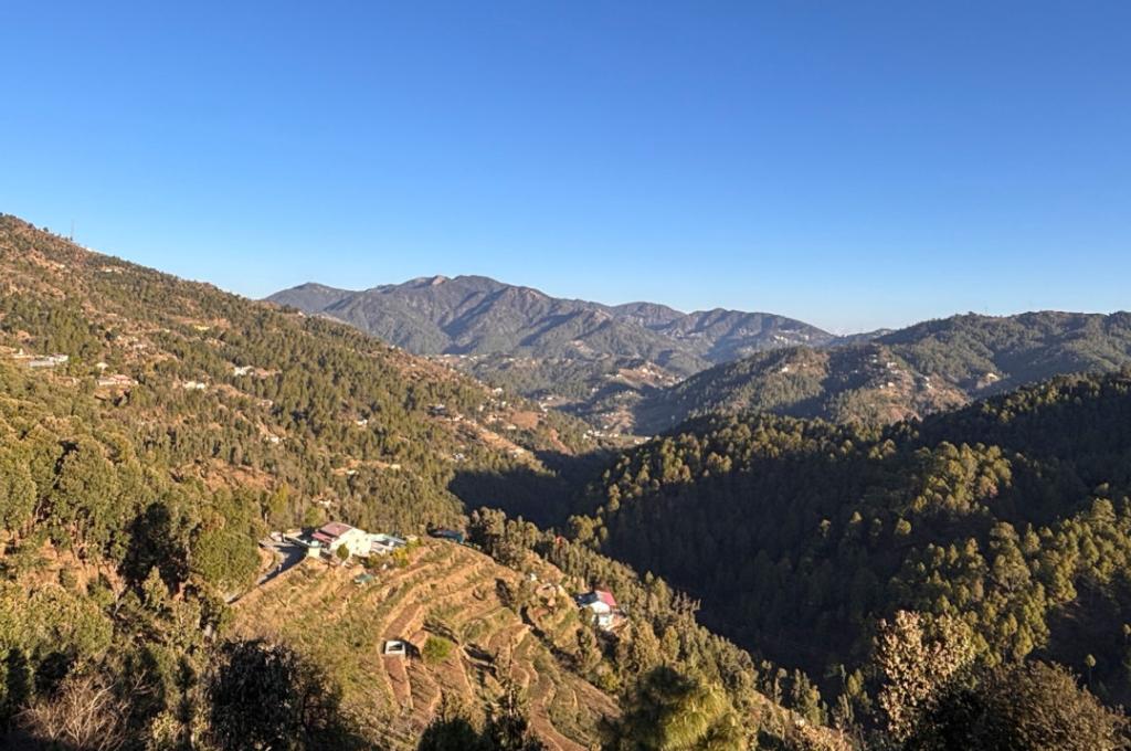 CHAMOMILE ESTATE LOCATION